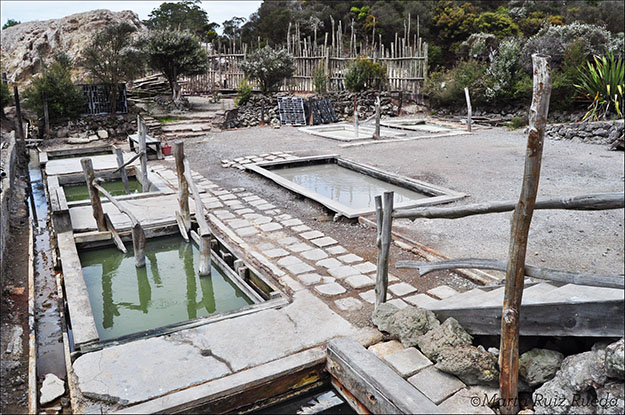 Algunas de las Hot Pools de Ngawha Springs