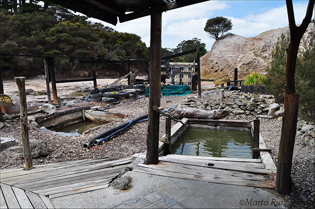 Piscina Waikato, excelente después de un largo día de trabajo