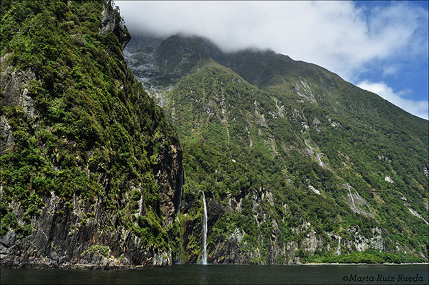 Gracias a la humedad la vegetación brilla por todas partes