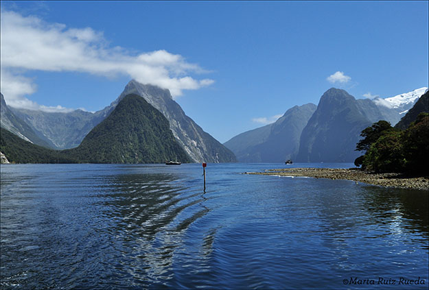 Vista desde el muelle