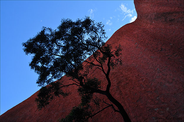 Una de las perspectivas de Uluru