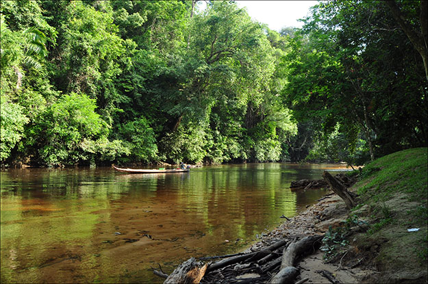 Uno de los ríos que atraviesa Taman Negara