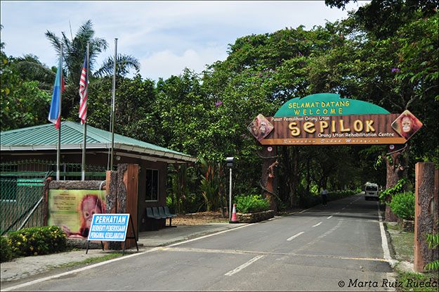 Entrada del centro de rehabilitación para orangutanes