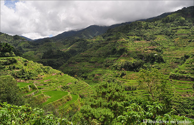 Montañas de arroz en Banaue