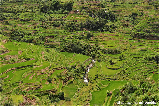 Terrazas de Banaue