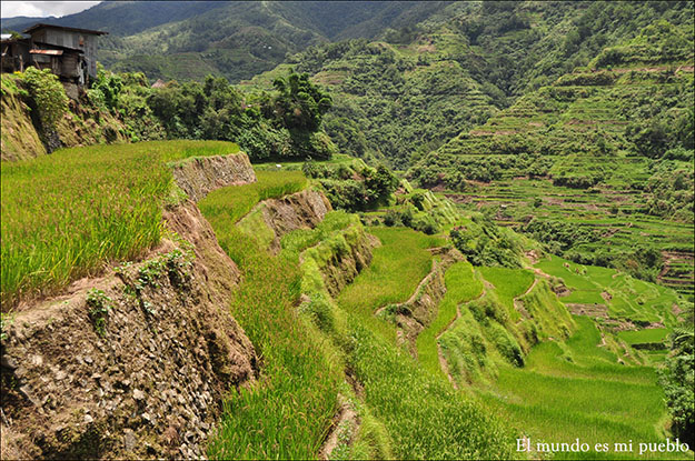 Las terrazas de Banaue