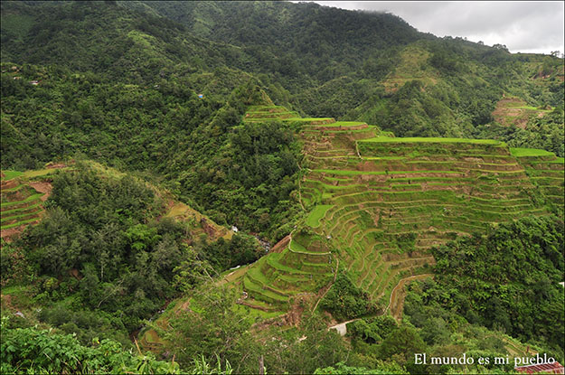 Las terrazas de Banaue