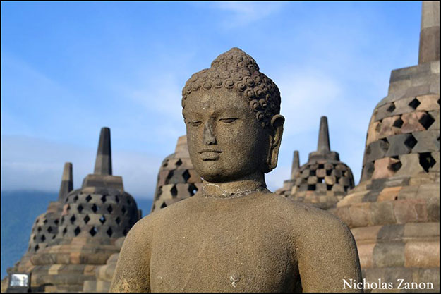 Los más de 500 budas reinan el Templo