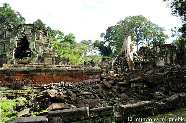 El templo Ta Prohm es la imagen más fotografiada de la simbiosis entre naturaleza y arquitectura