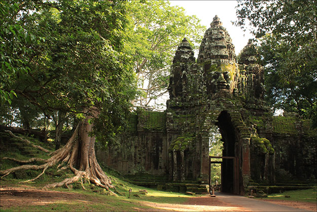 En el recorrido por Angkor la vegetación y la huella de los jemeres se entremezclan 
